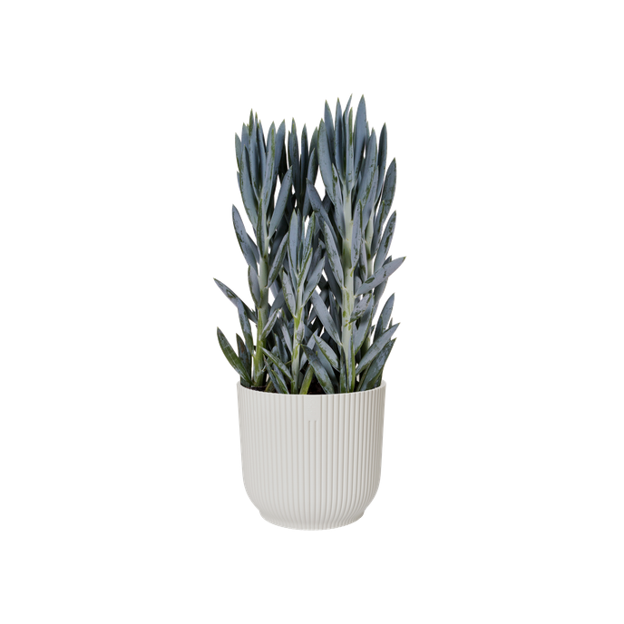 vibes fold rund 14cm seidenweiß